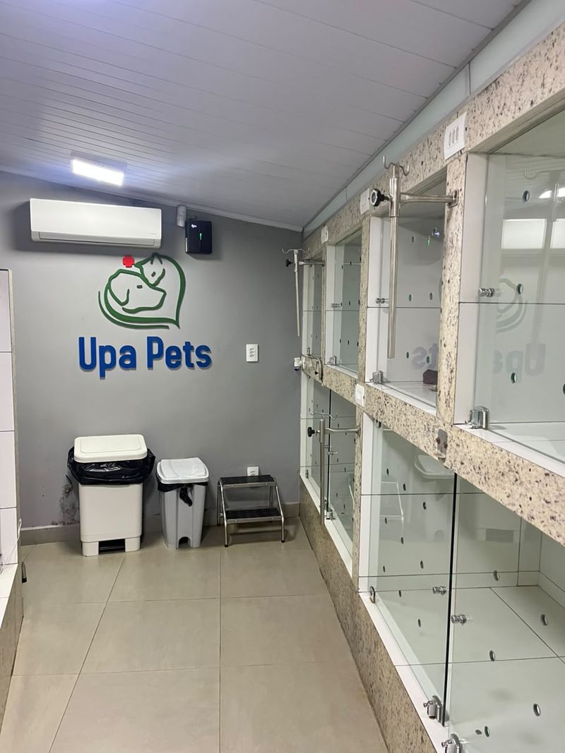 Área de internação da Upa Pets com baias individuais de portas de vidro e suportes para soro