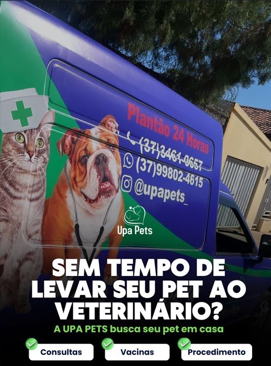 Veículo da Upa Pets com a arte do serviço de busca do pet em casa: consultas, vacinas e procedimentos