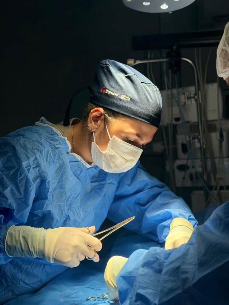 Médica veterinária da Upa Pets, de touca, máscara e avental cirúrgico, concentrada durante um procedimento